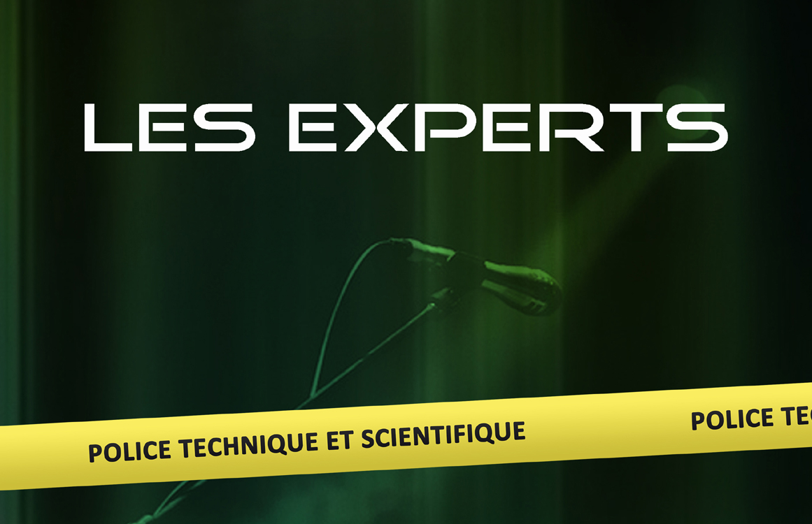 Murder Party Les Experts